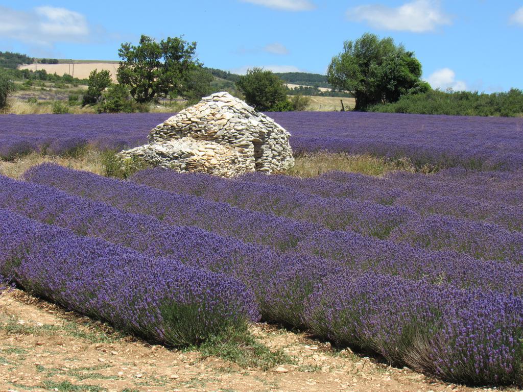 Residence De Gites La Sidoine Du Mont-Ventoux Крийон-ле-Брав Экстерьер фото